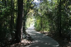 The Woodlands Hike and Bike Trails